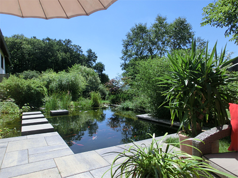 Gartenteich, Bieberbau
